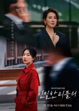 Poster A Graceful Liar drama Korea